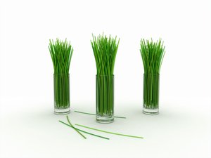 预测伸缩的投资回报率分析